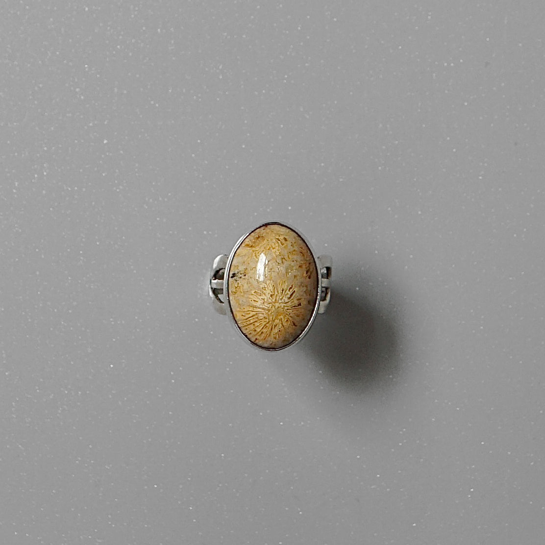 Fossil Ring