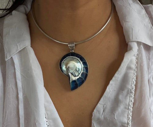 Blue Shell Collar Necklace